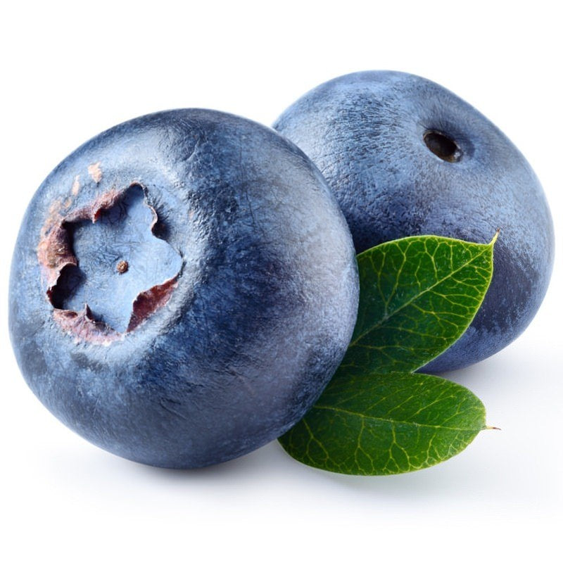 BILBERRY SEED OIL (50ml)