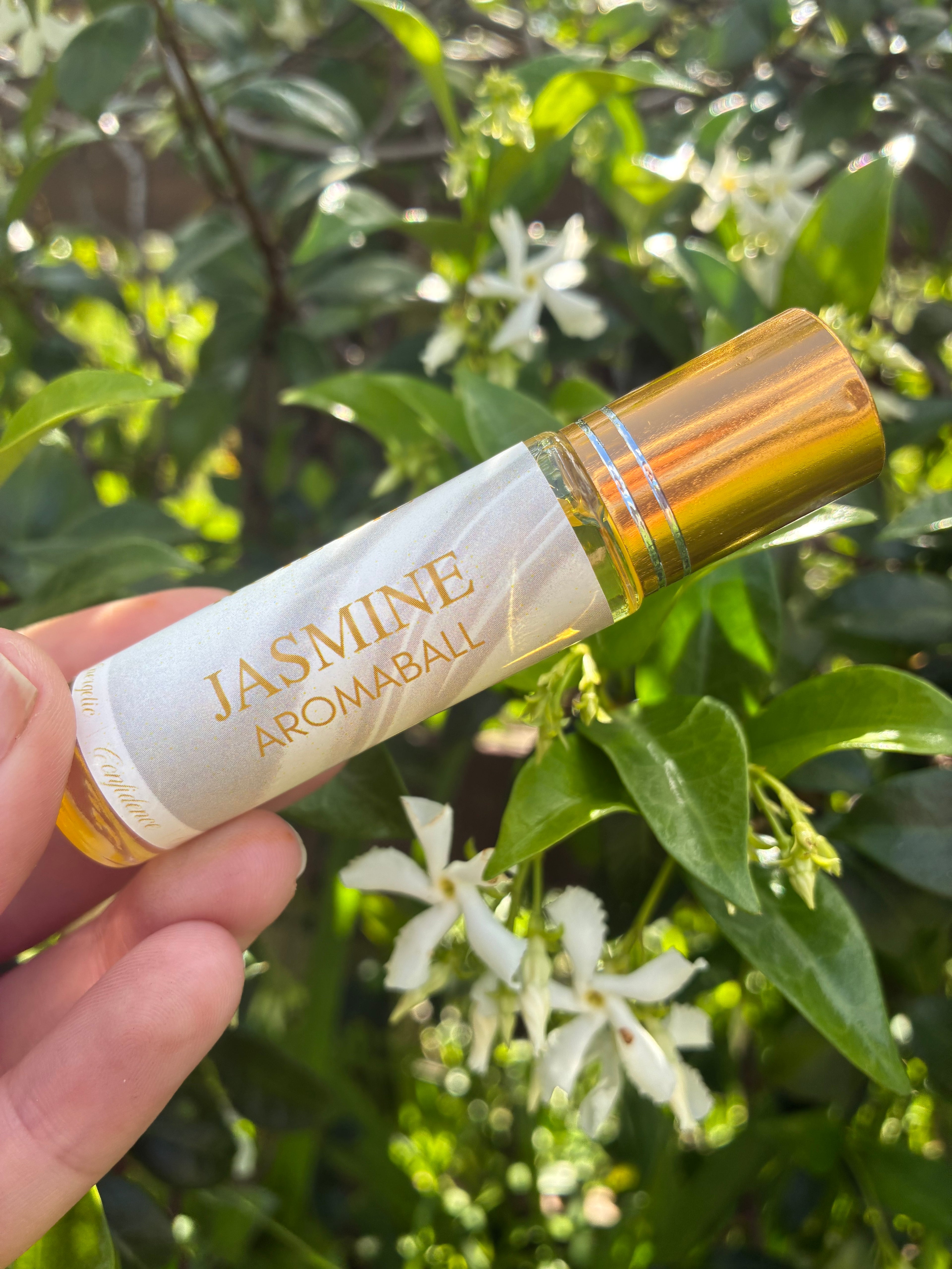 JASMINE AROMABALL